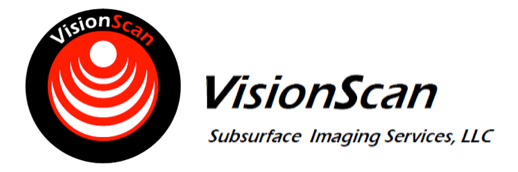 Vision Scan Logo